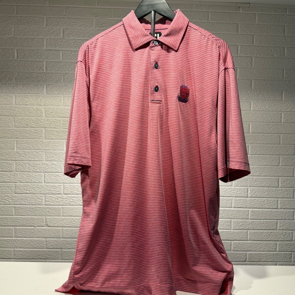 FootJoy Golf Polo Shirt Mens Size L Pink Blue Striped Embroidered Logo - Picture 2 of 5